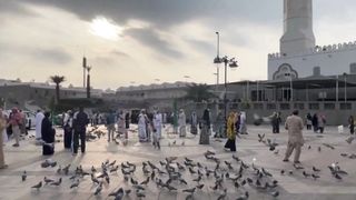 Surah 100 - Al-'Adiyat (Those That Run)