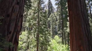 "Enchanting Horizons: The Spellbinding Allure of Nature"