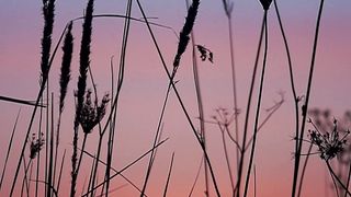 "Panoramas of Peace: Reveling in Nature's Grandeur"