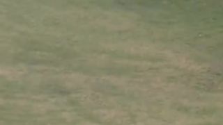Shai hope great finish