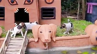 Dog house made to care