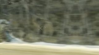 कुत्ते और तेंदुए के बीच नाटकीय बातचीत | Dramatic Interaction Between Dog and Leopard
