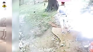 Top 8 Luckiest People Caught on Camera || Six Info Tv 2