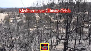 Greek agriculture feeling the climate heat