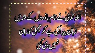Machli k moo mein zuban ku ni Hoti  ||islamicstatus ||spread  @Kashaf butt