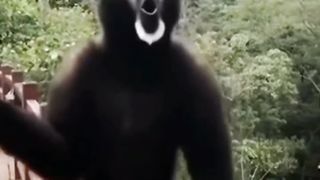 vidéo drôle ???? pour toi