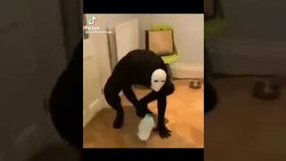 UNUSUAL MEMES COMPILATION V18