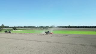 CLAAS LEXION 770TT bei der Körnermais