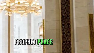 Surah Saba Ayat 46 | Translation in English | Quran is reality 345