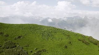 "Nature's Palette: Painting the World with Vibrant Wilderness"