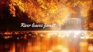River leaves forest