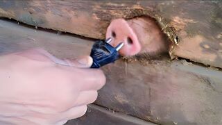 UNUSUAL MEMES COMPILATION V22