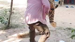 Best Prank Funny Fake Tiger Vs Sleep Dog