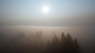 "Earth's Ephemeral Beauty: A Cinematic Voyage through Nature's Marvels"