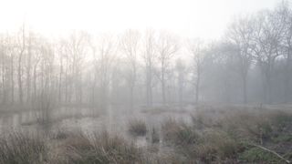 "A Dance with Nature: Embracing the Poetry of the Wilderness"
