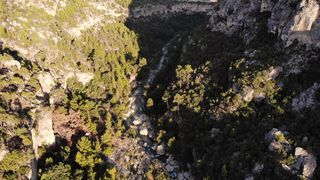 "The Unseen Wilderness: A Journey into Hidden Ecological Gems"