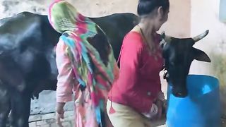 Papa ki pari Funny Comedy on YouTube shorts ｜ #realfoolshortsofficial #mrsalmuddin #ytshorts#shorts