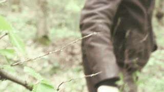 forest 3