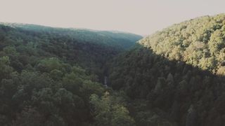 "A Symphony of Seasons: Journeying Through Nature's Ever-Changing Canvas"