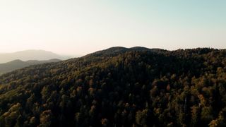 "Enigmatic Wilderness: Unveiling the Mysteries of the Natural World"