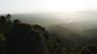 "Tranquil Trails: Exploring Nature's Pathways to Serenity"