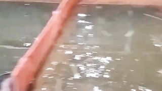 Air kolam sudah di pupuk dan diendapkan 3 hari, tapi LUMUT tetap ada, ternyata ini kesalahannya