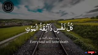 tilawat quran 2