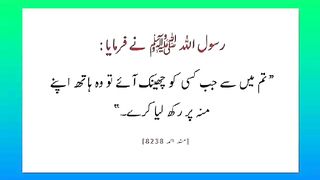 اسلامی معلومات 913