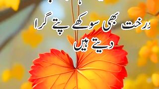 Zabar dasit video 21
