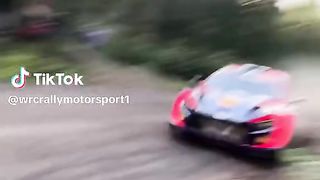 Rally 3