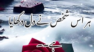 Zabar dasit video 23