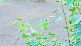 Zabar dasit video sung 15