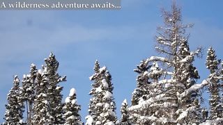 Winter Survival Shelter - Sleeping Outside in -25° Weather
