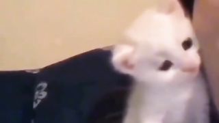 Приколи 589