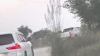 My video 82