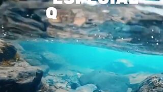 Bom dia A TODOS????????????