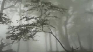 Romantic, Comfortable and Peaceful Relaxation Music
