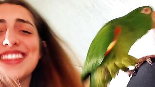 Alegria da mulher