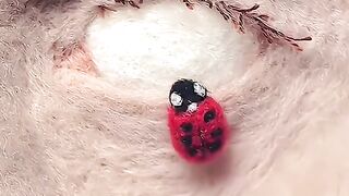 Esse vídeo é muito interessante