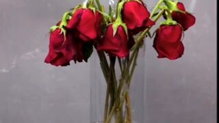 Life hacks UPCYCLE everything around you!!clever ways