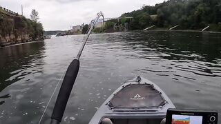 Fishing sturgeon fish?????
