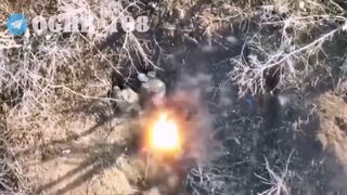 Ukrainian Mountain Assault forces strike Russians with drone bombs and artillery
