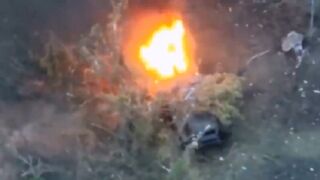 Russian KAMAZ-43269 APC was eliminated by Ukrainian fire, the 54th Mechanized Brigade in Luhansk Oblast