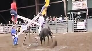 Playing with the bull..