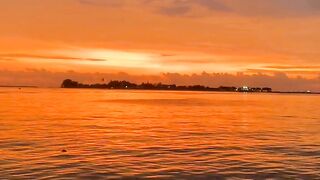 beautiful sunset on the beach