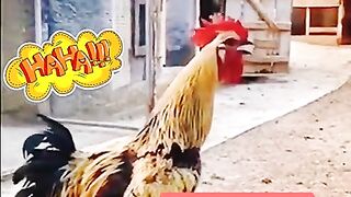 Jago keselek