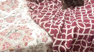 Cute dogs