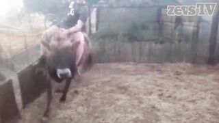 Best jokes Лучшие Приколы 2016 человек против быка