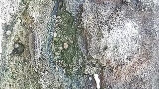 Stonekaraka