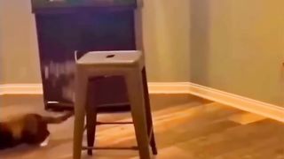 Funny???? please ???? subscribe it’s make my channel good plz